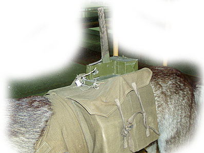 Sovětské psí miny 1.jpg